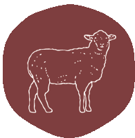 a drawing of a sheep standing on a red background