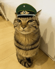 a cat wearing a green hat with a blue circle on the top