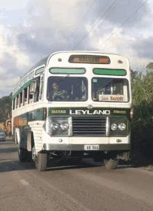 a white and green leyland bus is driving down the road