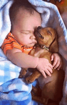 a baby and a puppy are sleeping under a blue blanket