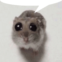 a hamster with a speech bubble above it 's head