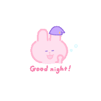 a pink bunny with a purple hat and the words " good night " below it