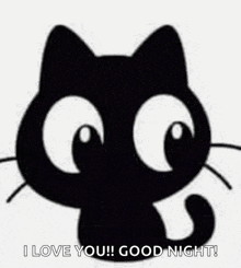 a black cat is saying `` i love you ! good night '' .