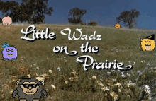 little wadz on the prairie is written on a field