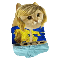 a cat with blonde hair is wearing a blue shirt and shorts