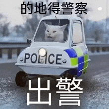 a cat is sitting in a small police car on a road .