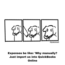 a cartoon of three dogs with the caption ' expenses be like why manually ? just import us into quickbooks online '