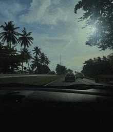 a car is driving down a road with palm trees on both sides