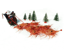 santa claus is pulling a sled full of shrimp in the snow