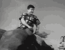 a man in a plaid shirt is sitting on the back of an elephant