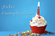 a cupcake with a lit candle and the words feliz cumpleanos on the bottom