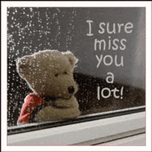 a teddy bear is looking out of a window with the words i sure miss you a lot written on it