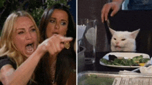 a woman is pointing at a white cat sitting at a table .