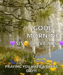 a good morning sis i love you praying you have a great day .