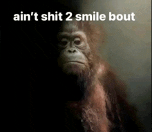 a picture of a monkey with the words " ain 't shit 2 smile bout " below it