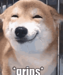 a shiba inu dog is smiling in a cage with the word grins written on the bottom of the picture .