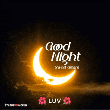 a picture of a crescent moon with the words " good night sweet dream "