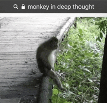 a picture of a monkey sitting on a wooden walkway with the words " monkey in deep thought " above it