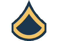 a blue and yellow emblem with a triangle in the middle .