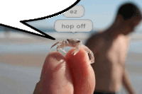 a person holding a small crab in their hand with a speech bubble saying ez hop off