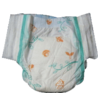 a diaper with a butterfly and leaves design on it