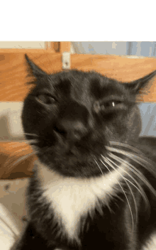 a black and white cat is laying on a bed with its eyes closed .