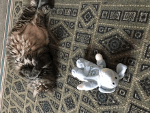 a cat laying on its back next to a stuffed animal that says my first christmas on it