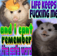 a opossum with a pancake on its head says life keeps fucking me