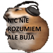 a hamster wearing headphones with the words nic nie rozumiem ale buja written below it