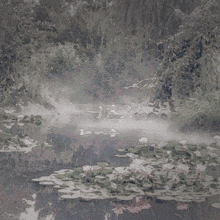 a painting of a pond with water lilies and trees in the background