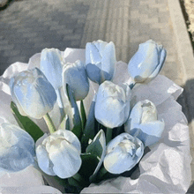 a bouquet of light blue and white tulips wrapped in white paper