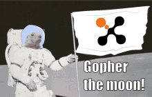 a picture of an astronaut holding a flag with the words gopher the moon below him