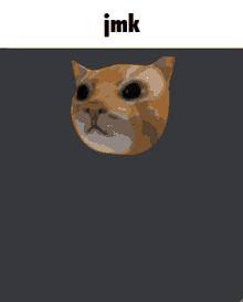 a picture of a cat 's head with jmk written below it