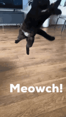 a black cat is jumping in the air with the words meowch behind it