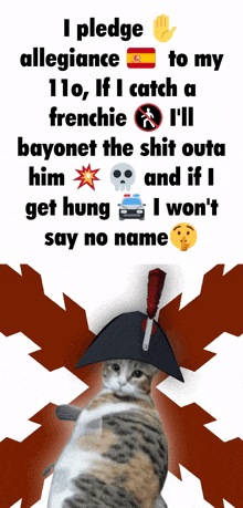 a cat wearing a napoleon hat is surrounded by text that says " i pledge allegiance to my "