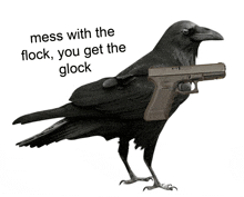 a crow holding a gun with the words mess with the flock you get the glock