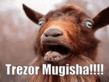 a close up of a goat with its mouth open and the words trezor mugisha !!! written on it .