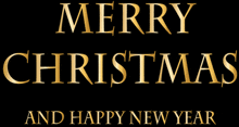 merry christmas and happy new year is written in gold letters