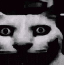 a black and white photo of a cat 's face with a surprised look on its face .