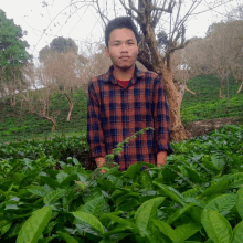 a man in a plaid shirt stands in a field of plants