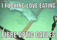 a person is eating fibre optic cables in the water .