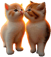 two kittens standing next to each other with their noses touching