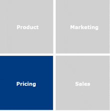 a blue square in the middle of a gray square is labeled pricing