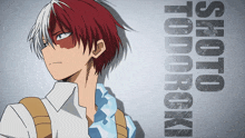 a picture of shoto todoroki with the name shoto todoroki above him