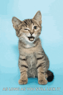 a kitten is sitting on a blue background with the words as long as you still lick it below it