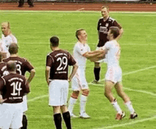 a group of soccer players are standing on a field . one of the players has the number 29 on his shirt .