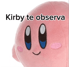 a close up of a stuffed animal with the words kirby te observa written on it