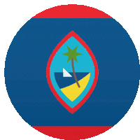 a blue and red circle with a palm tree and a boat in it