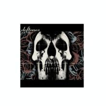 a deftones album cover has a skull on it