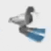 a blurred image of a person flying through the air .